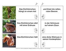 Eichhörnchen-Satzteile-verbinden-einfach 8.pdf